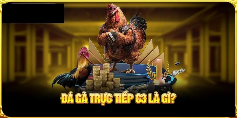 Trực tiếp đá gà c3 là gì?